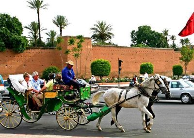 Marrakech6