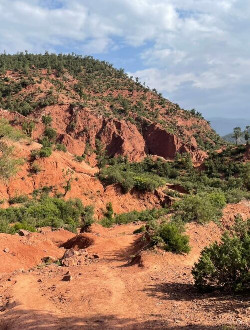 Trek 2 — National park