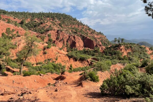 Trek 2 — National park