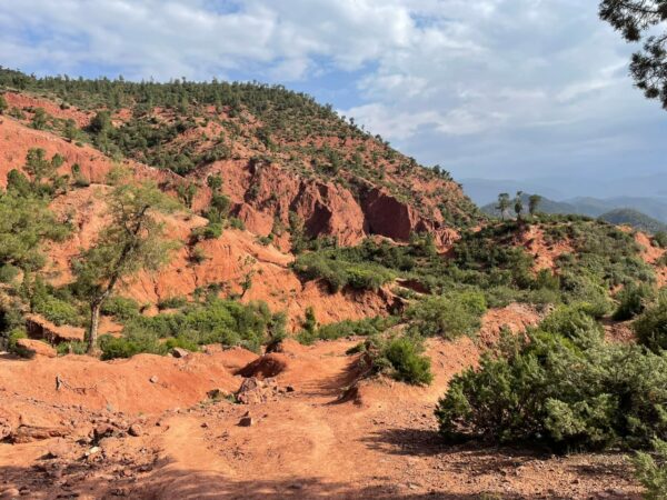 Trek 2 — National park